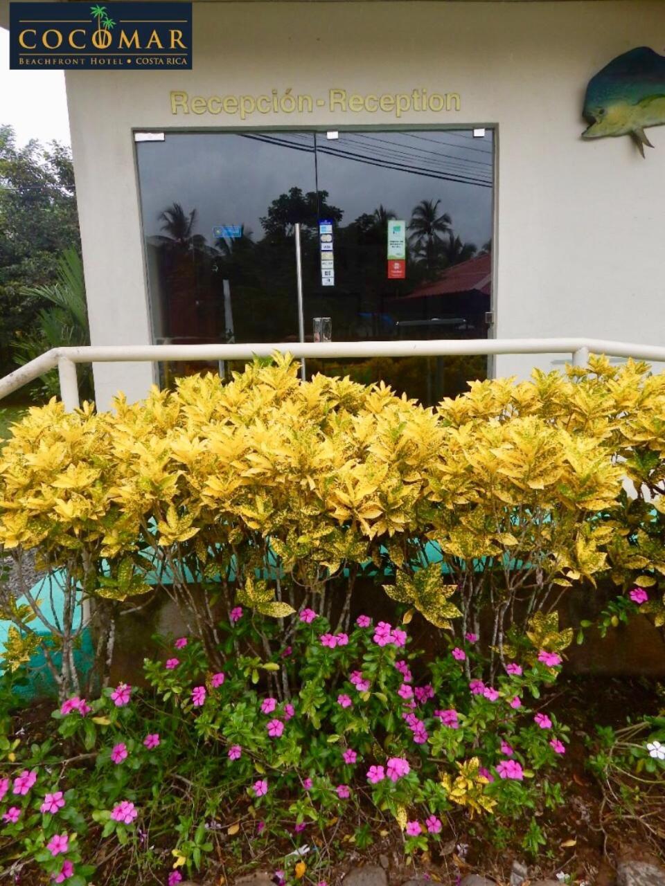 Cocomar Beachfront Hotel Quepos Exterior photo